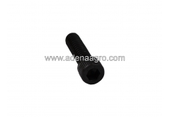 Fischbein SC 142078 Screw
