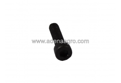 Fischbein SC 54012 Screw